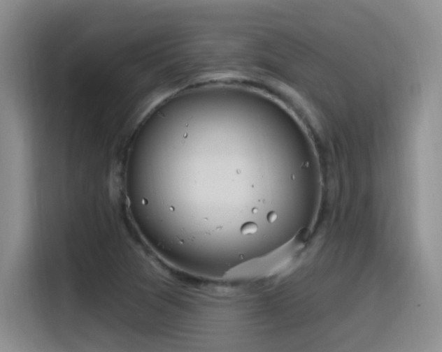 X0000115521361200911061409