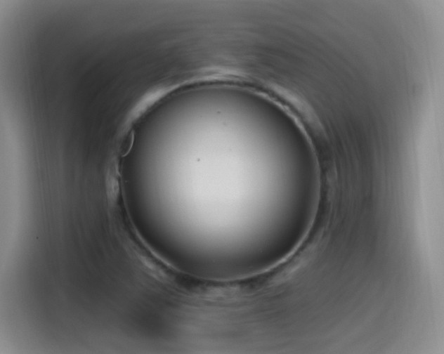 X0000115521363200911061409