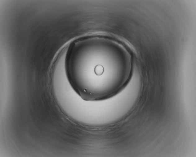 X0000115521364200911061409