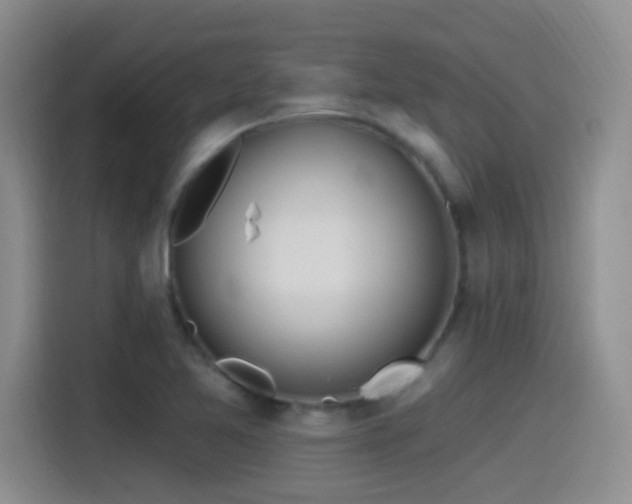 X0000115521365200911061409