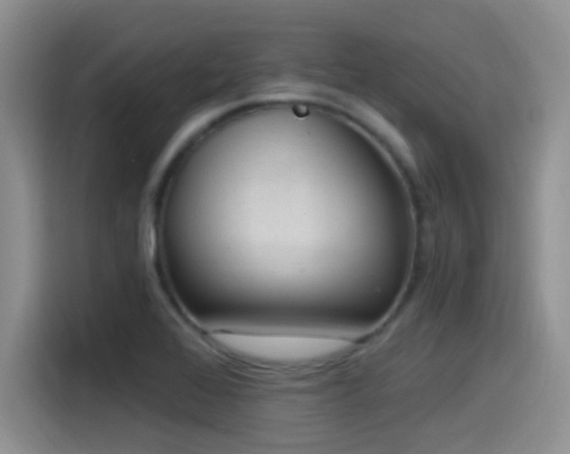 X0000115521368200911061409