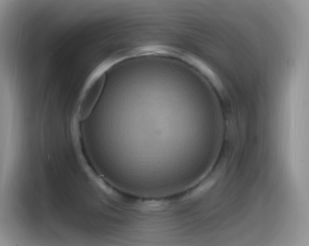 X0000115521373200911061409