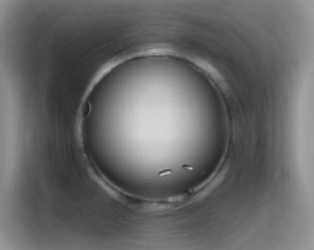 X0000115521374200911061409