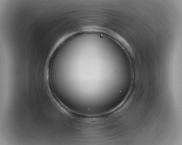 X0000115521376200911061409
