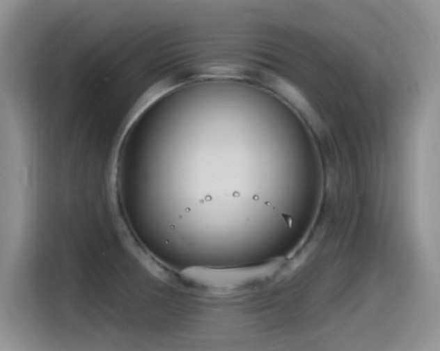 X0000115521378200911061409
