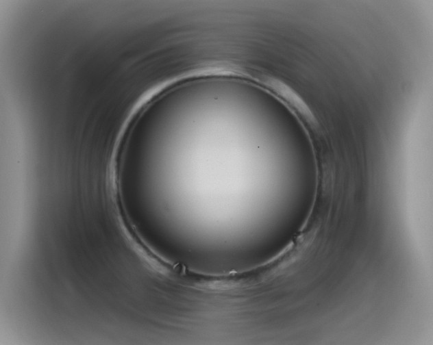 X0000115521380200911061409