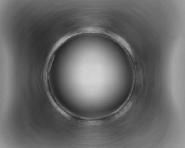 X0000115521381200911061409