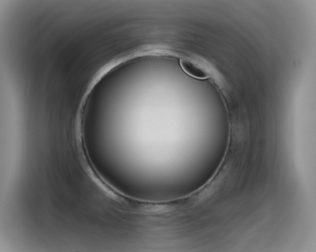 X0000115521382200911061408