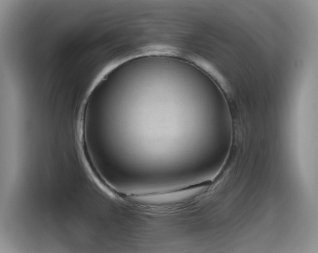 X0000115521383200911061408