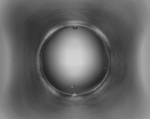 X0000115521384200911061408