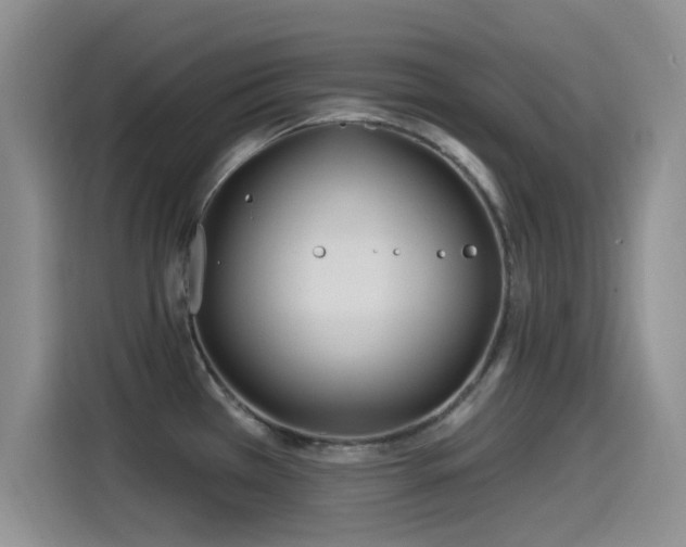 X0000115521385200911061408