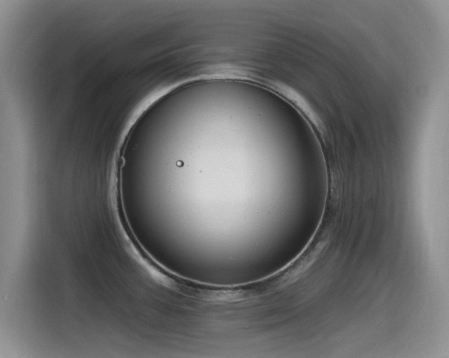 X0000115521387200911061408