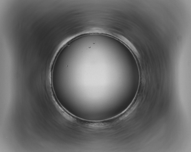 X0000115521388200911061408