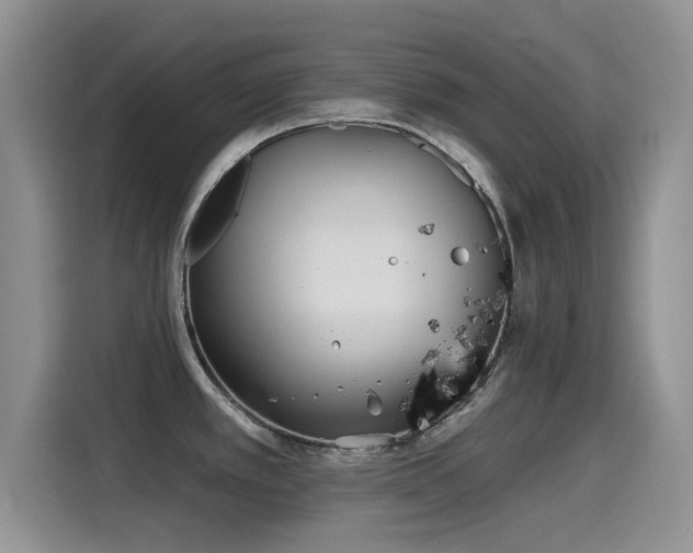 X0000115521389200911061408