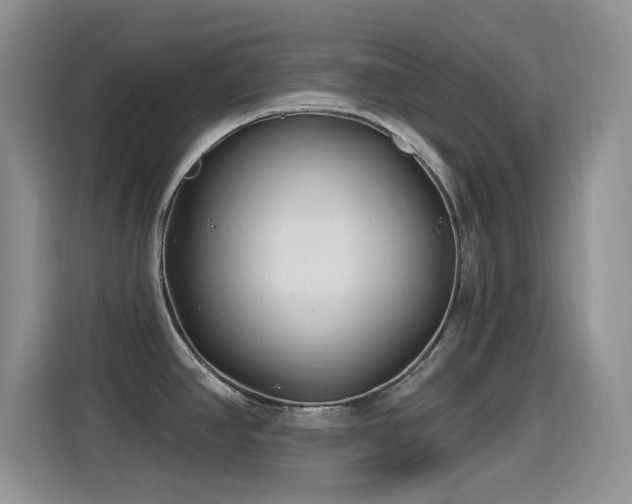 X0000115521390200911061408