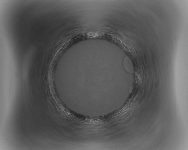 X0000115521393200911061408