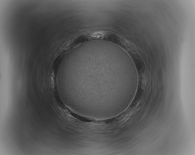 X0000115521394200911061408
