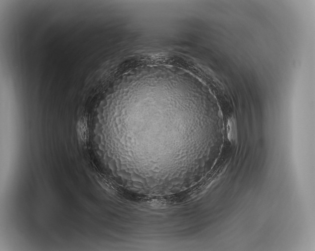 X0000115521395200911061408