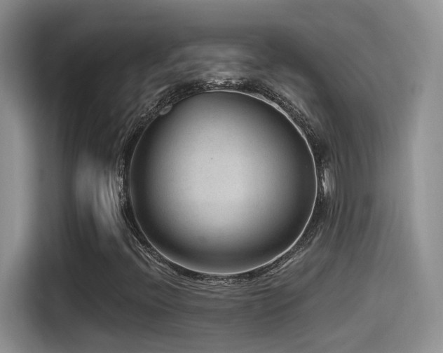 X0000115521396200911061408