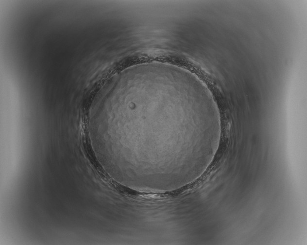 X0000115521397200911061408