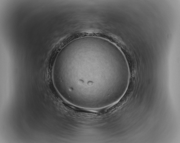 X0000115521398200911061408
