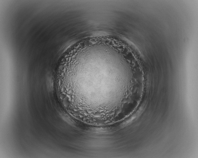 X0000115521401200911061408