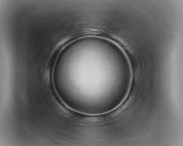 X0000115521402200911061408