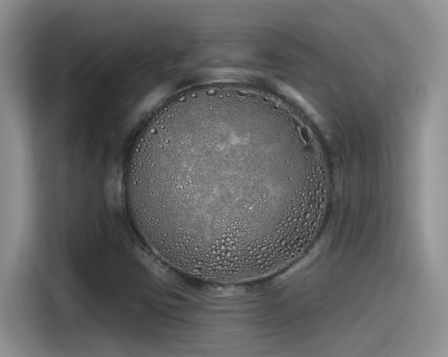 X0000115521403200911061408