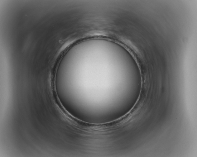 X0000115521404200911061408