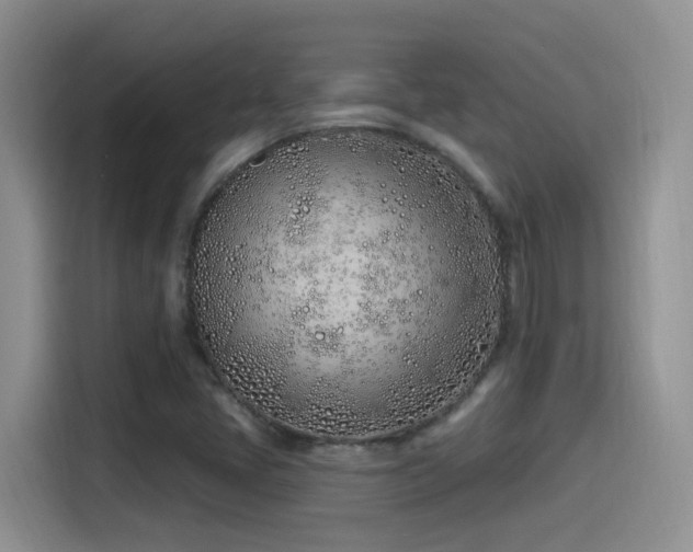 X0000115521405200911061408