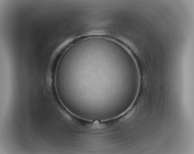 X0000115521406200911061408