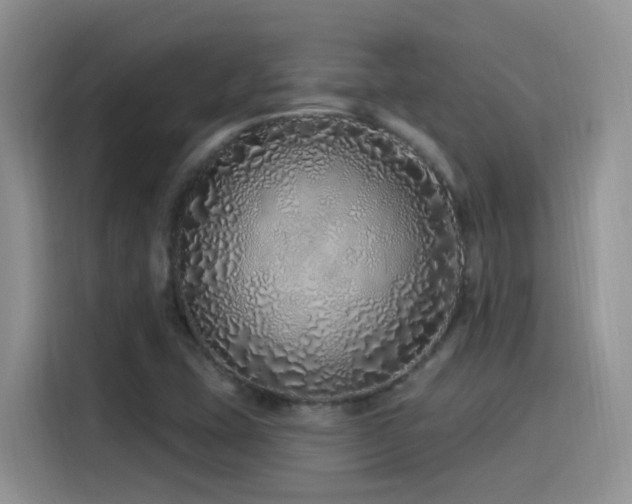 X0000115521407200911061408