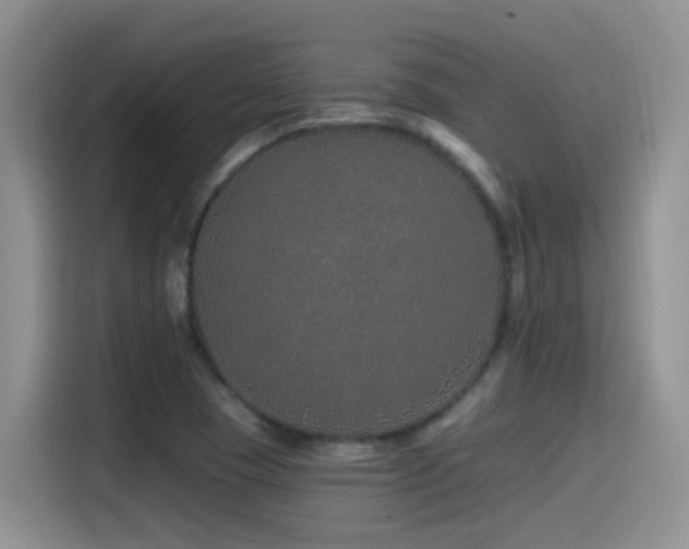 X0000115521409200911061408
