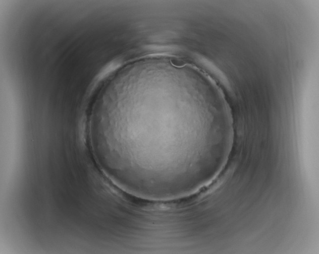 X0000115521411200911061408