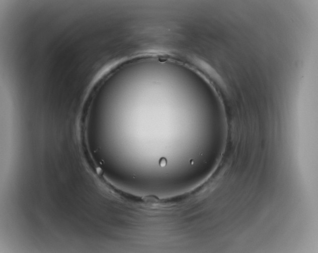 X0000115521412200911061408