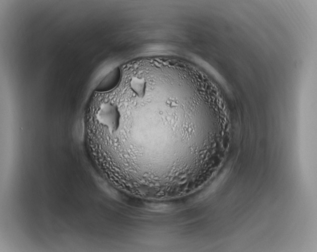X0000115521413200911061408