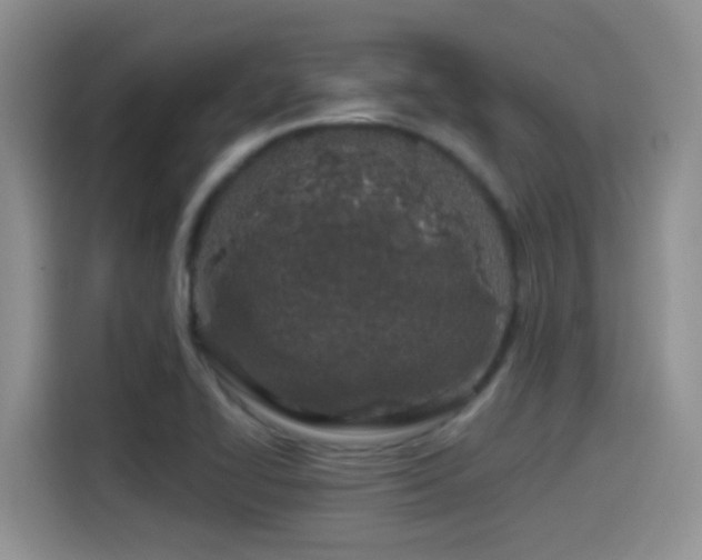 X0000115521414200911061408