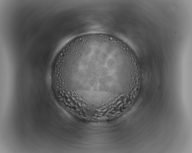 X0000115521415200911061408
