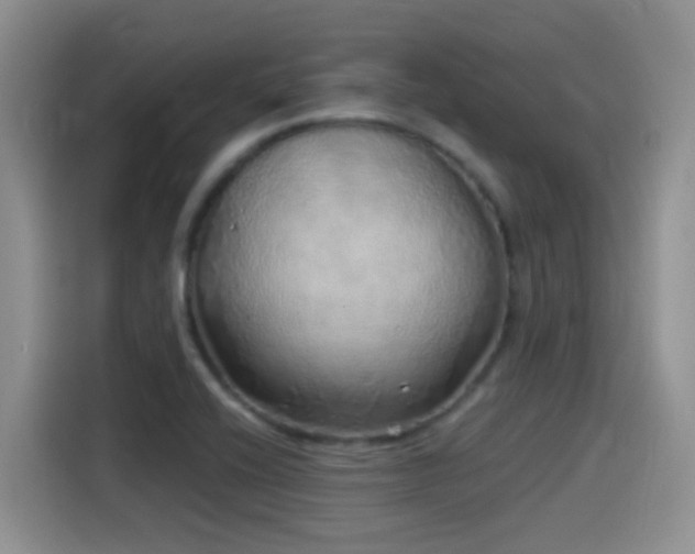 X0000115521416200911061408