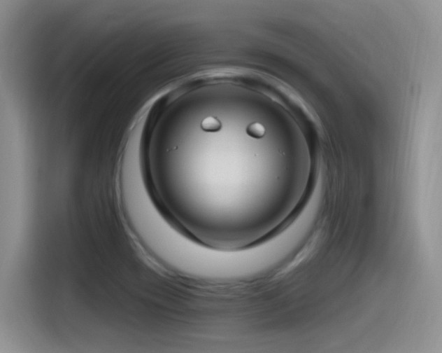 X0000115521417200911061408