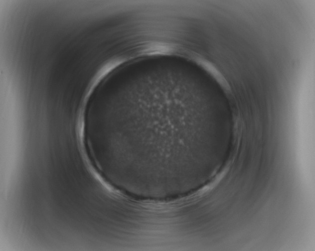 X0000115521418200911061408