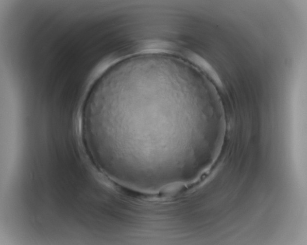 X0000115521419200911061408