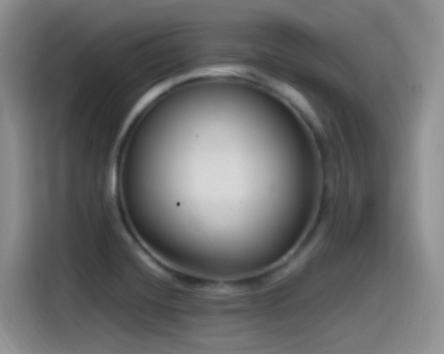 X0000115521420200911061408