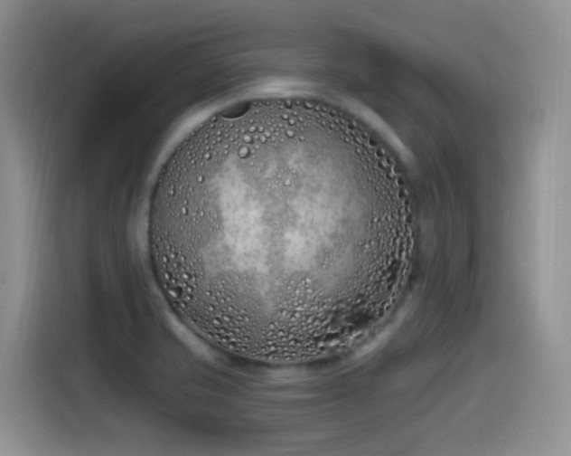 X0000115521421200911061408