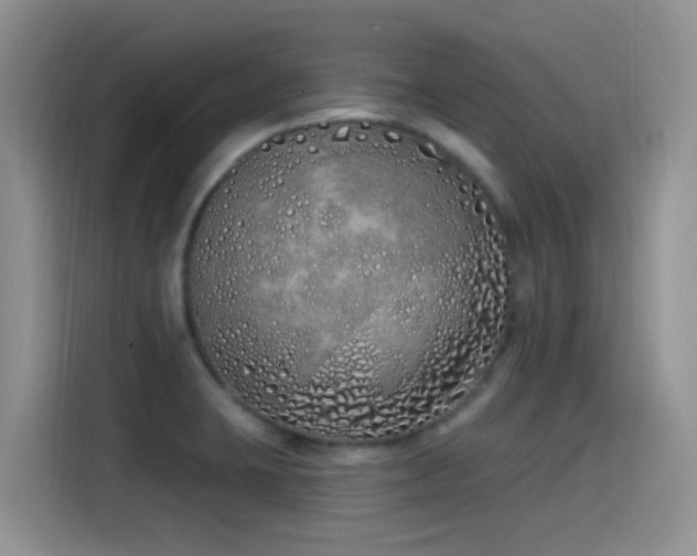 X0000115521423200911061408