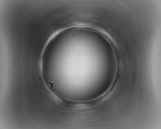 X0000115521424200911061408