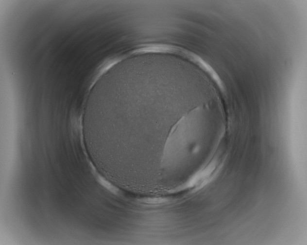X0000115521425200911061408