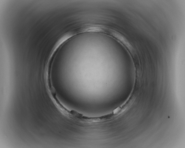 X0000115521426200911061408