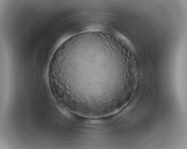 X0000115521427200911061408