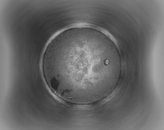 X0000115521429200911061408